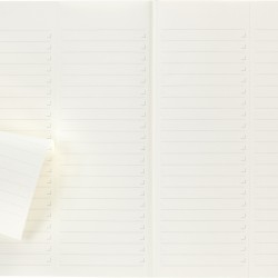 Notes MOLESKINE PROFESSIONAL A4 (21x29,7 cm), miękka oprawa, 192 strony, czarny