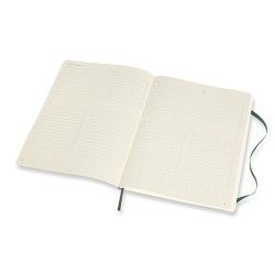 Notes MOLESKINE Professional XL (19x25 cm), miękka oprawa, forest green, 192 strony, zielony