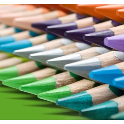 KREDKI CRICCO TRJKTNE 12-KOL.PASTELOWE                                                                                