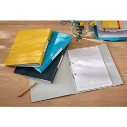 Segregator 2ringowy Leitz Cosy, szer. 32 mm, żółty