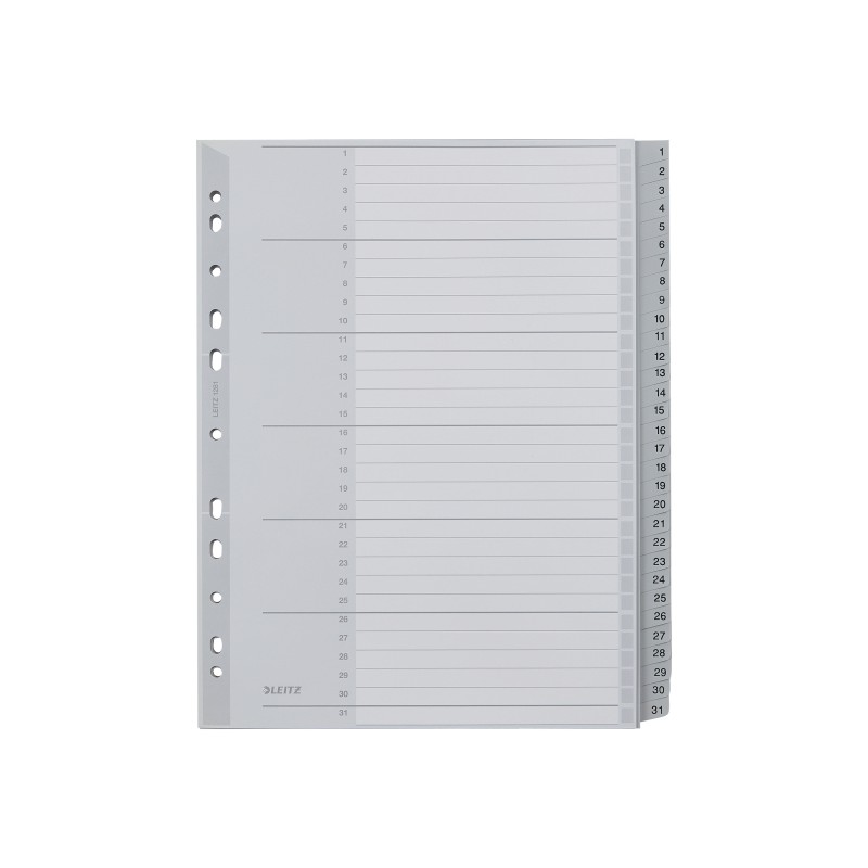 Przekładki plast. do nadruku tekstu na kartę, Leitz 1-31