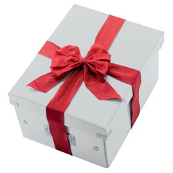 Pudło uniwersalne Leitz WOW C&S A4, białe