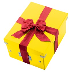 Pudło uniwersalne Leitz C&S A4 WOW, żółte