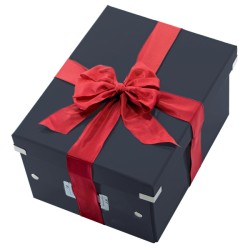 Pudło uniwersalne Leitz C&S WOW L, czarne