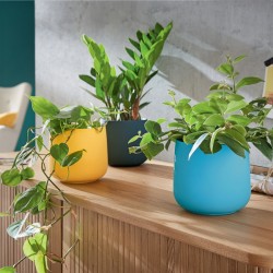 Doniczka Leitz Cosy, niebieska