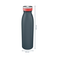 Butelka termiczna Leitz Cosy, 500 ml, szara