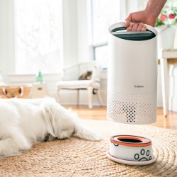 Filtr dla właścicieli zwierząt HEPA (3 w 1) Leitz TruSens™ Z-1000 