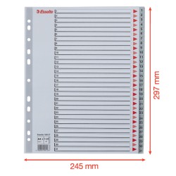 Przekładki plastikowe szare  PP alfabetyczne A4 Esselte, 1-31 maxi