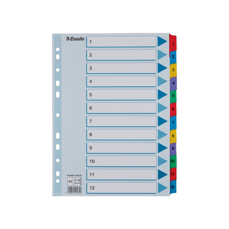 Przekładki kartonowe Mylar  A4 Esselte, biały 1-12