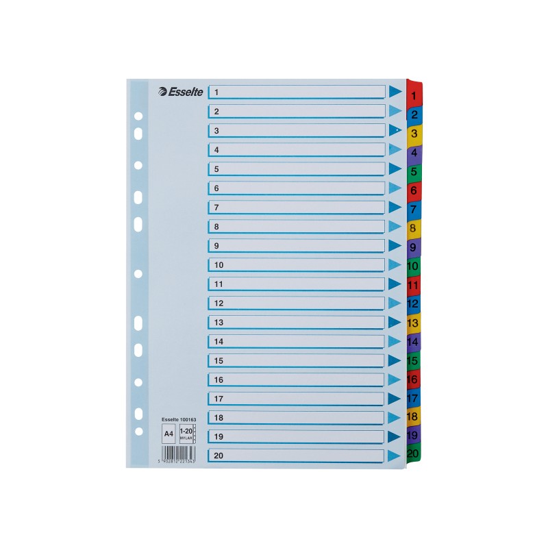 Przekładki kartonowe Mylar  A4 Esselte, biały 1-20