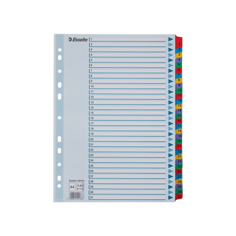 Przekładki kartonowe Mylar  A4 Esselte, biały 1-31