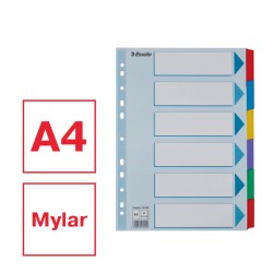 Przekładki, kolorowy karton, karta opisowa Mylar A4, Esselte, 6 kart
