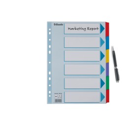 Przekładki, kolorowy karton, karta opisowa Mylar A4, Esselte, 6 kart