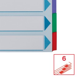 Przekładki, kolorowy karton, karta opisowa Mylar A4, Esselte, 6 kart