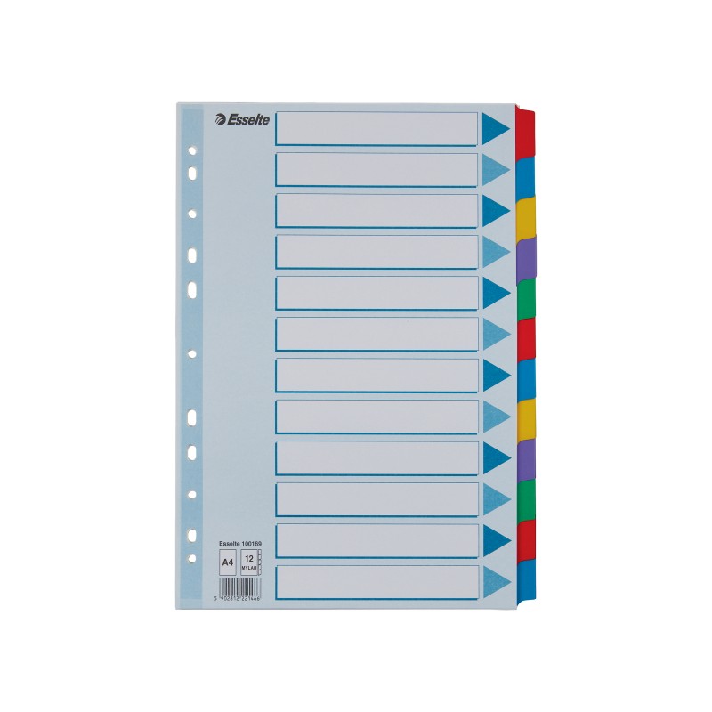 Przekładki, kolorowy karton, karta opisowa Mylar A4, Esselte, 12 kart