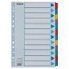 Przekładki, kolorowy karton, karta opisowa Mylar A4, Esselte, 12 kart