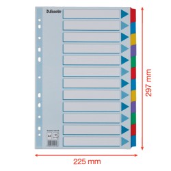 Przekładki, kolorowy karton, karta opisowa Mylar A4, Esselte, 12 kart