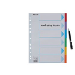 Przekładki, kolorowy karton z kartą opisową A4, Esselte, 6 kart