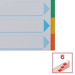 Przekładki, kolorowy karton z kartą opisową A4, Esselte, 6 kart