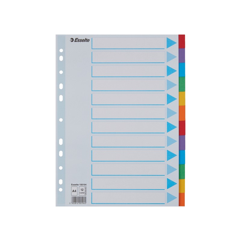 Przekładki, kolorowy karton z kartą opisową A4, Esselte, 12 kart
