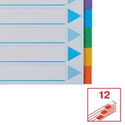 Przekładki, kolorowy karton z kartą opisową A4, Esselte, 12 kart