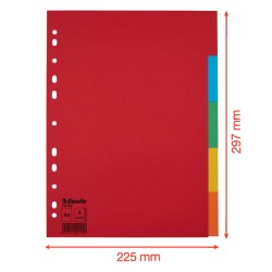 Przekładki, kolorowy karton bez karty opisowej A4, 5 kart