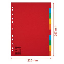 Przekładki, kolorowy karton bez karty opisowej A4, 10 kart