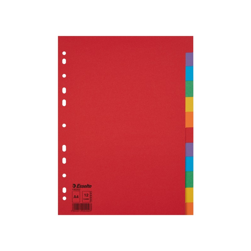 Przekładki, kolorowy karton bez karty opisowej A4, 12 kart