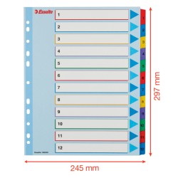 Przekładki karton. Mylar A4 Maxi z lamin. kartą do wielokrotnego opisywania, 1-12