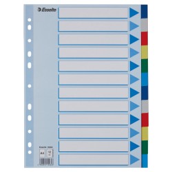 Przekładki plastikowe z PP A4 Esselte, 12 kart