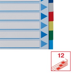 Przekładki plastikowe z PP A4 Esselte, 12 kart