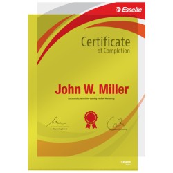 Ofertówki krystaliczne, sztywne A4, 150 mic, Esselte, żółty