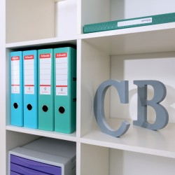 Segregator Esselte No.1 Colour'Breeze, 75mm, koralowy