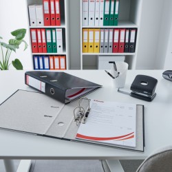 Segregator Esselte A4, ekonomiczny 50 mm, bordowy