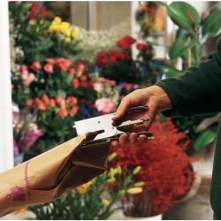 Zszywacz nożycowy K1 Rapid, chrom, 5 lat gwarancji, 50 kartek