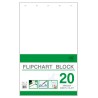 Blok do flipchartów 20 gładki   640x1000