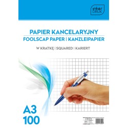 Papier kancelaryjny A3 100