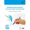 Papier kancelaryjny A3 100