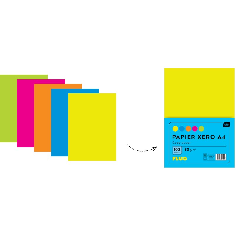 Papier Xero A4 100 5 kolorów Fluo
