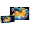 Puzzle 250 Colourful Nature 6 Fish