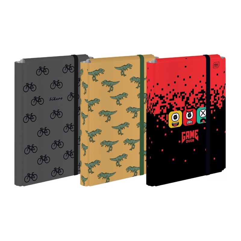 Teczka z gumką TO A4+ Boys