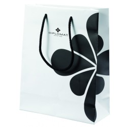 Pióro kulkowe DIPLOMAT Esteem, czarne/srebrne